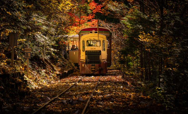赤沢自然休養林 自然に囲まれた鉄道 Toshioblog