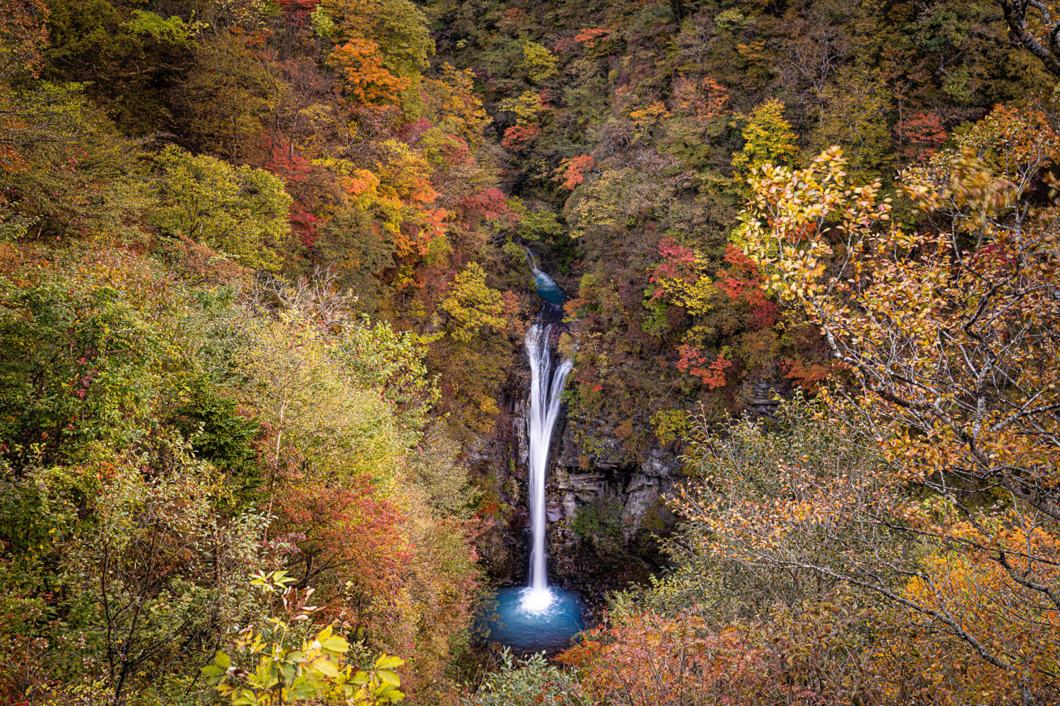 【紅葉】栃木県の絶景おすすめ観光スポット 4選 | ToshioBlog